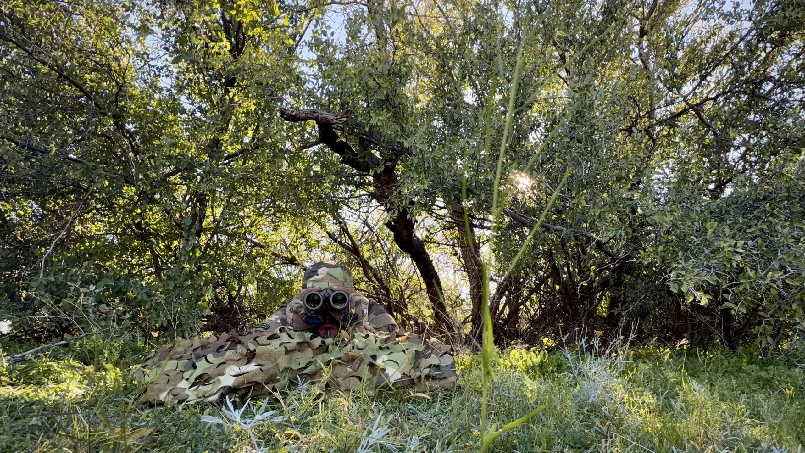 Advanced Optics Application - Image 14